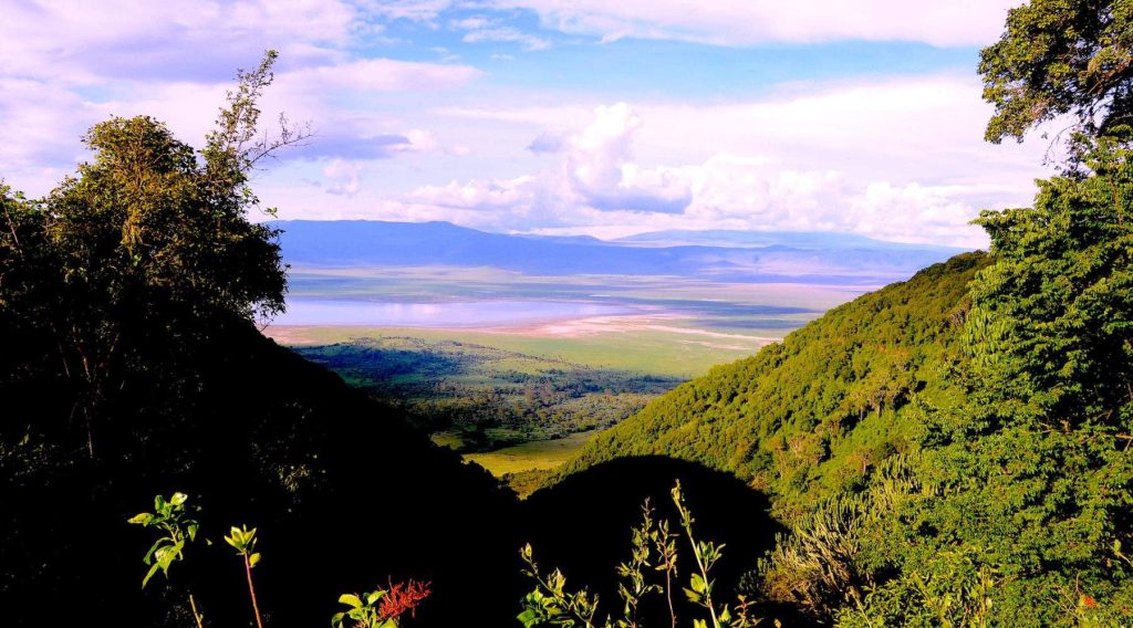 Safari in Tarangire and Ngorongoro Crater in a 4-day Tanzania wildlife adventure