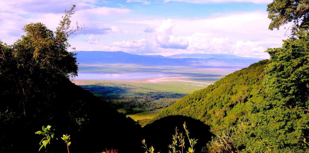 Safari in Tarangire and Ngorongoro Crater in a 4-day Tanzania wildlife adventure