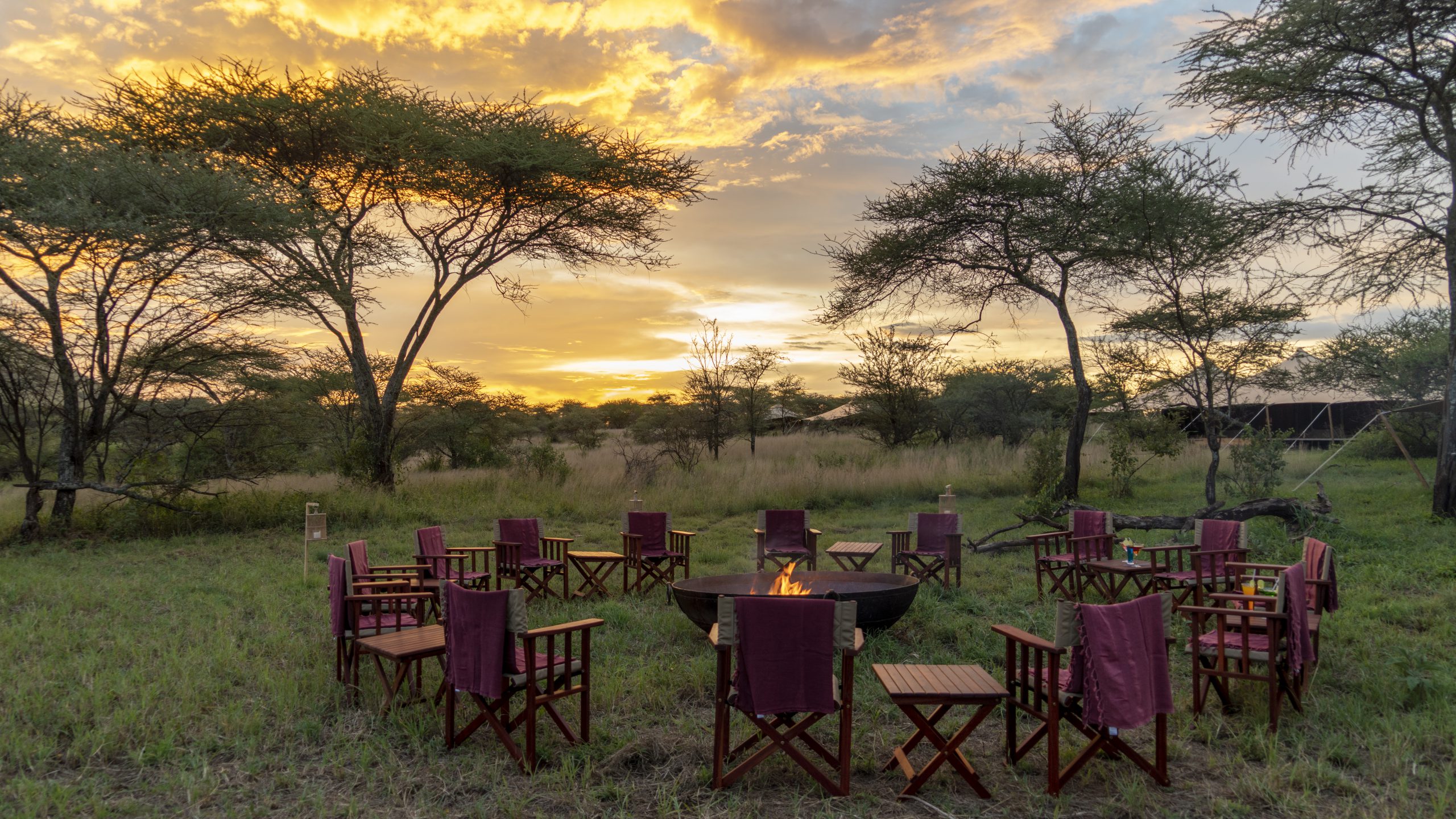 Happy family enjoying a safari adventure together in Tanzania’s wilderness