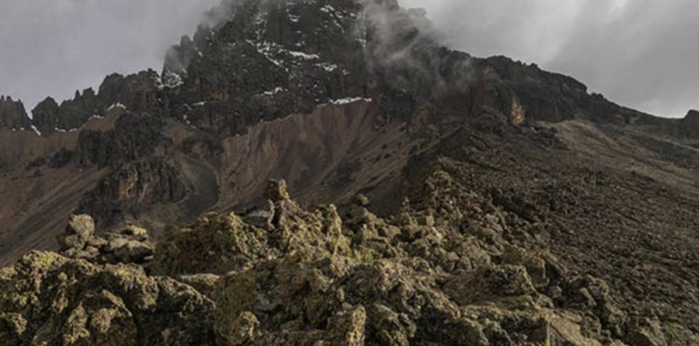 Ascending Mount Kilimanjaro via the Northern Circuit Route, Tanzania with Ibhanilfa Safaris.