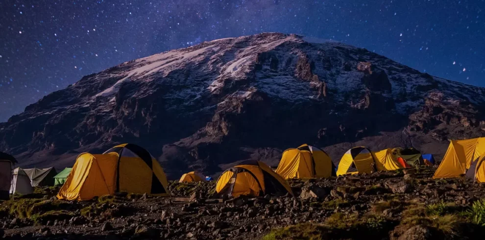 Combining Kilimanjaro trekking with a classic Tanzania wildlife safari.