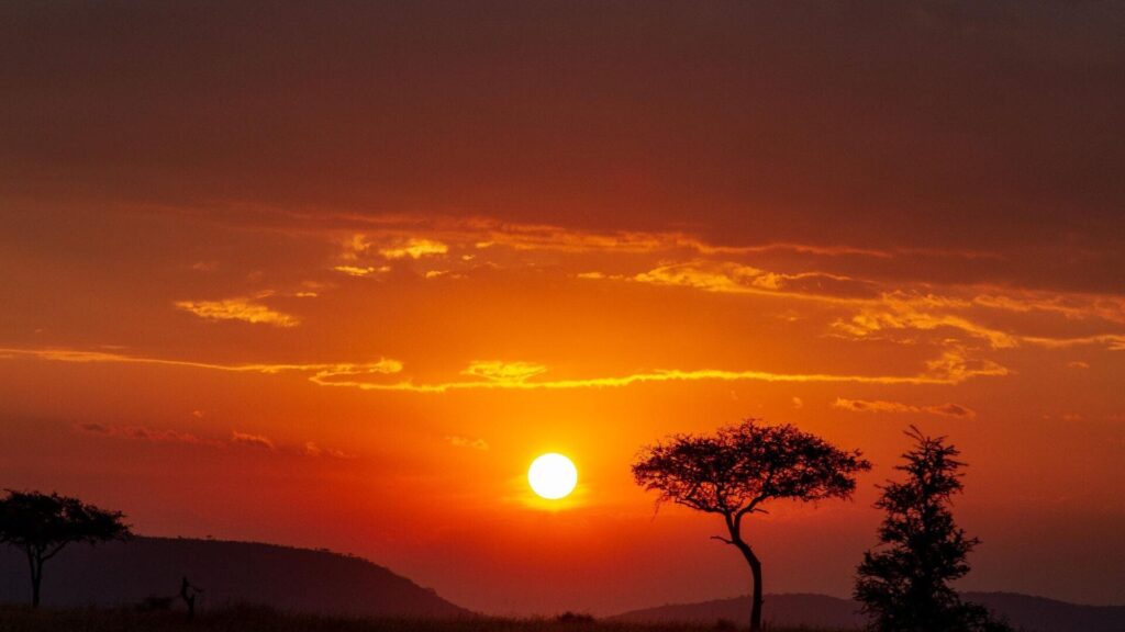 photographic safari capturing wildlife in Tanzania’s Serengeti.