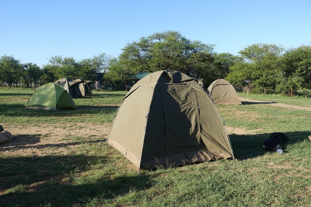 nyati-Safari-Tanzania