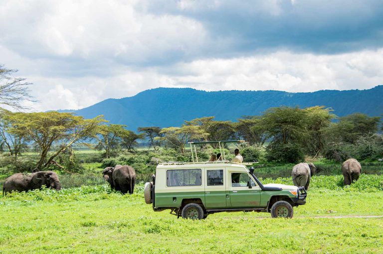Elephants beside a safari vehicle in Tanzania