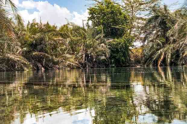 Chemka Hot Springs near Moshi Tanzania featuring clear turquoise pools surrounded by tropical forest