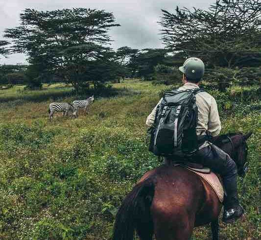 Traveler on horseback observing zebras across the open plains during a horse riding safari in Tanzania