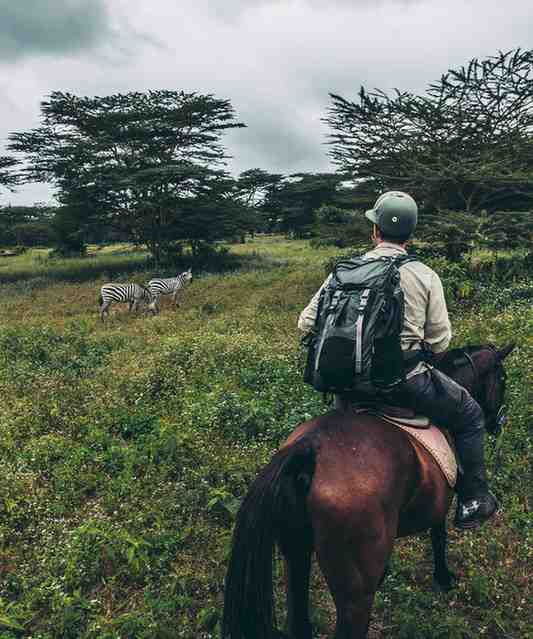 Traveler on horseback observing zebras across the open plains during a horse riding safari in Tanzania