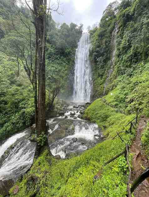 Materuni Waterfalls and traditional coffee experience on the slopes of Mount Kilimanjaro near Moshi, Tanzania
