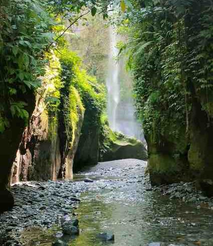 Napuru Waterfalls hike near Arusha Tanzania featuring forest trails, scenic landscapes, waterfall views, and immersive nature adventure experience