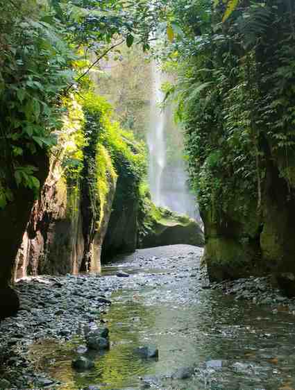 Napuru Waterfalls hike near Arusha Tanzania featuring forest trails, scenic landscapes, waterfall views, and immersive nature adventure experience