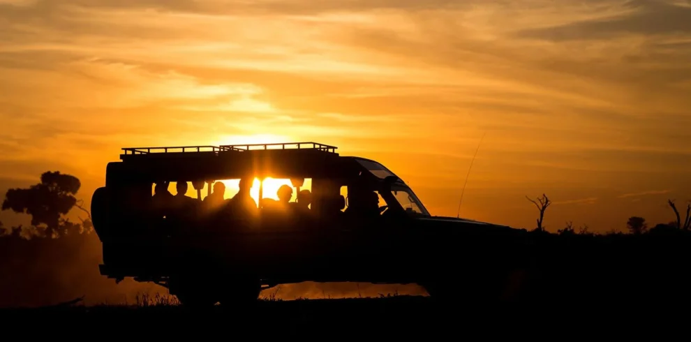 Tarangire night game drive in Tanzania featuring nocturnal wildlife activity within Tarangire National Park after sunset.