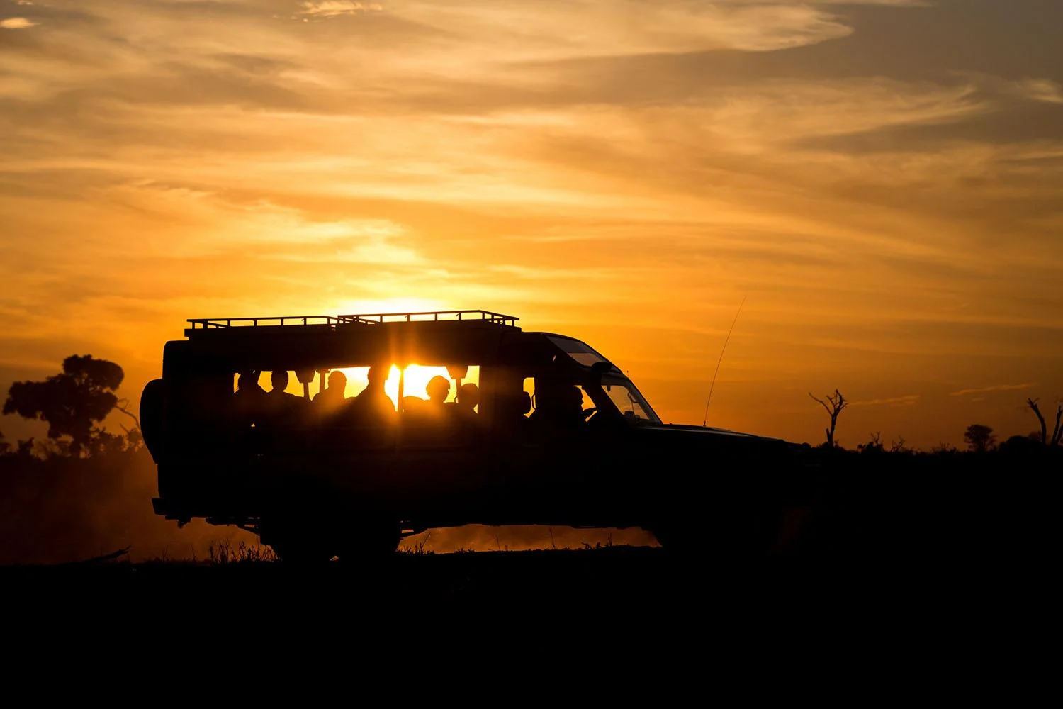 Tarangire night game drive in Tanzania featuring nocturnal wildlife activity within Tarangire National Park after sunset.