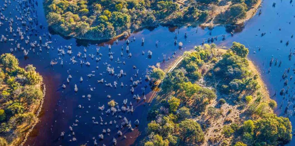 Botswana Chobe and Khwai safari experience featuring elephants, river wildlife, wetlands, and untouched wilderness landscapes