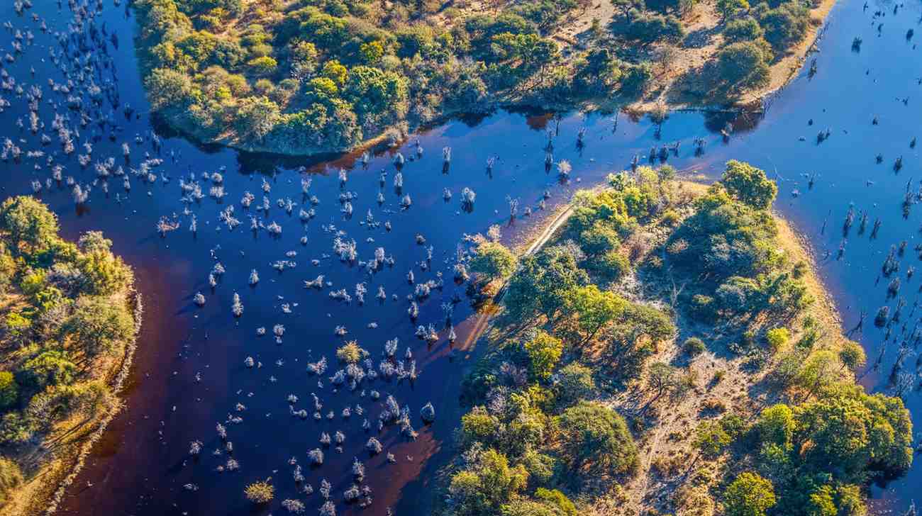 Botswana Chobe and Khwai safari experience featuring elephants, river wildlife, wetlands, and untouched wilderness landscapes