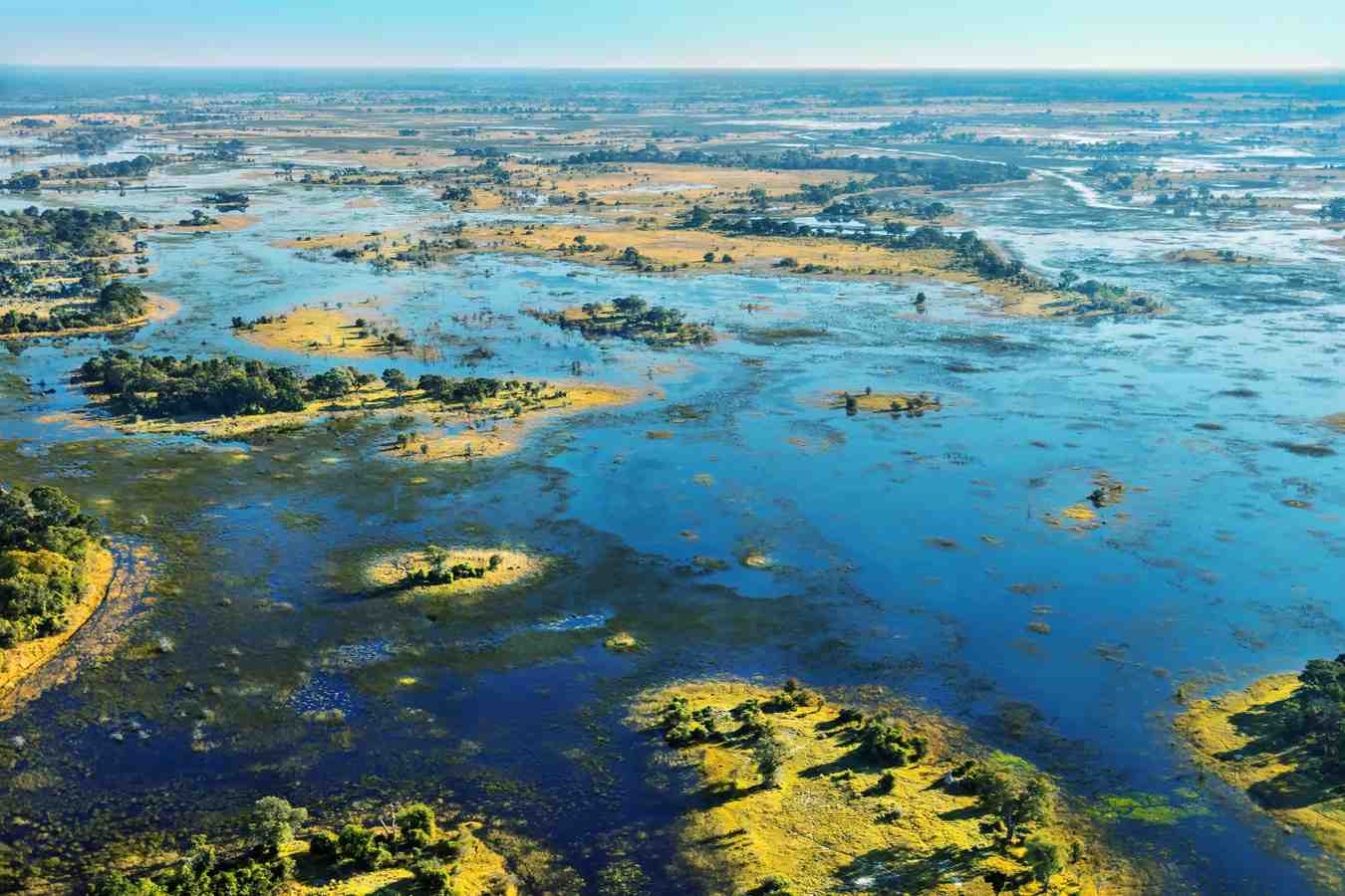 Botswana safari experience exploring Chobe National Park, Okavango Delta, and Victoria Falls with wildlife, rivers, and wetlands.