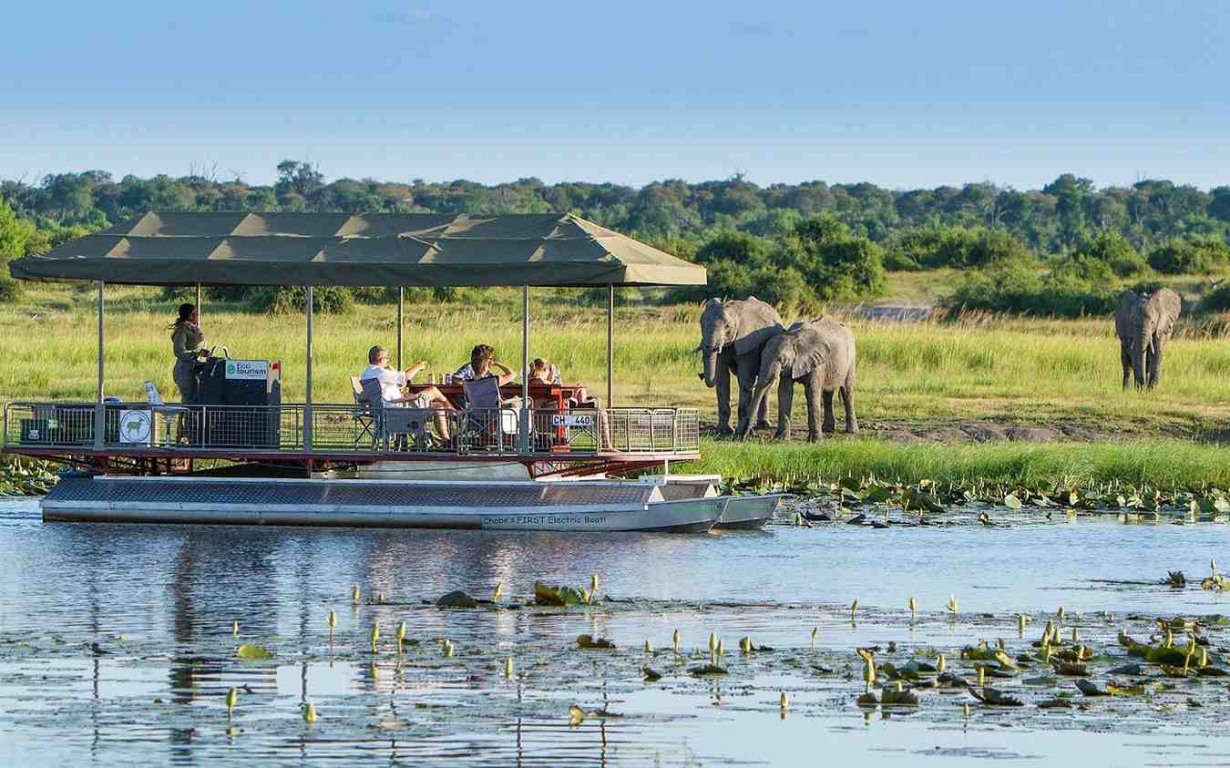 Botswana safari featuring a fly-in journey to Okavango Delta and Chobe National Park with wildlife, waterways, and wilderness experiences