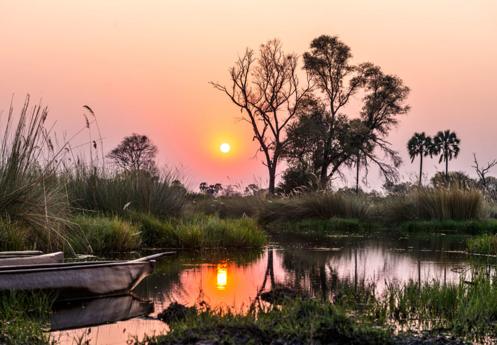 Chobe, Okavango Delta and Victoria Falls fly-in safari featuring river wildlife, wetlands, elephants, and iconic Southern Africa landscapes
