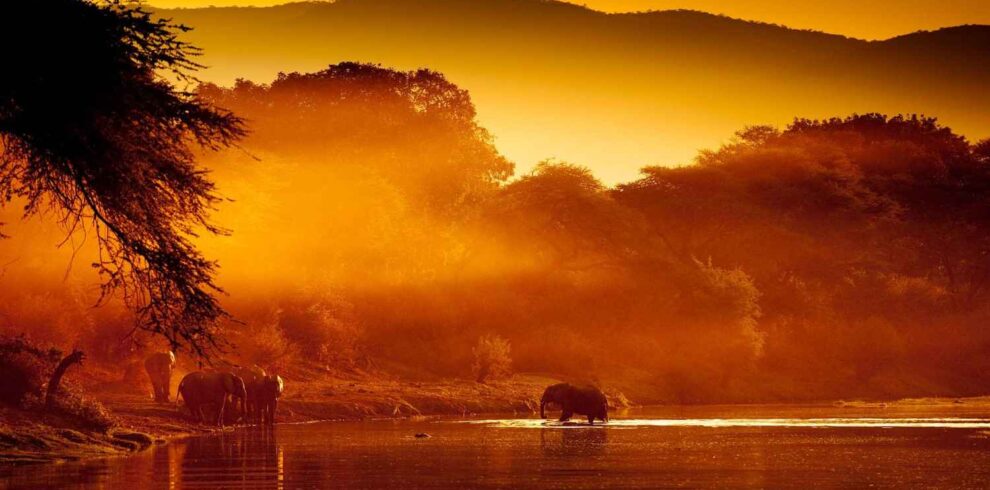 Classic Zambia safari featuring South Luangwa National Park and Zambezi Valley with wildlife encounters, rivers, and authentic wilderness landscapes