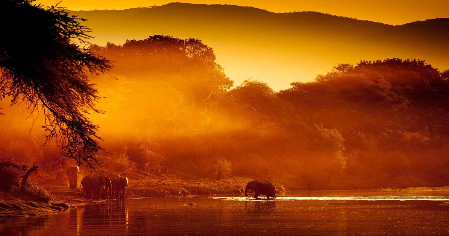 Classic Zambia safari featuring South Luangwa National Park and Zambezi Valley with wildlife encounters, rivers, and authentic wilderness landscapes