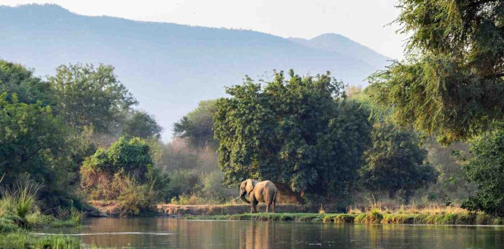 Discover Zambia safari featuring hidden wilderness destinations, wildlife encounters, rivers, and authentic African safari experiences