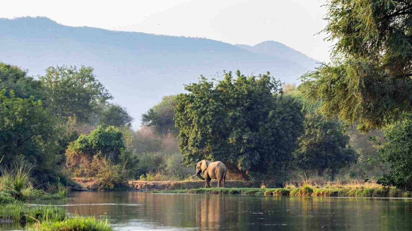Discover Zambia safari featuring hidden wilderness destinations, wildlife encounters, rivers, and authentic African safari experiences
