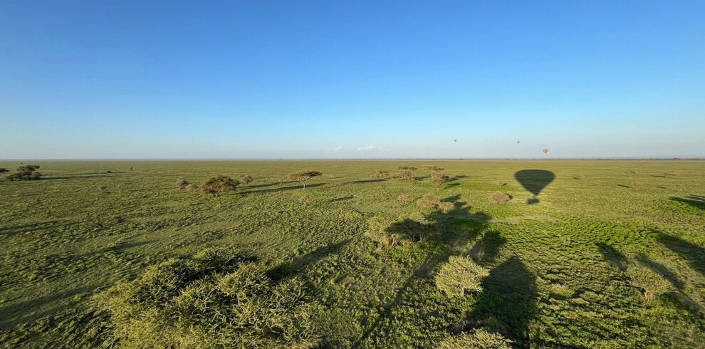 Hot air balloon flying above the Serengeti plains during a Great Migration safari experience in Tanzania