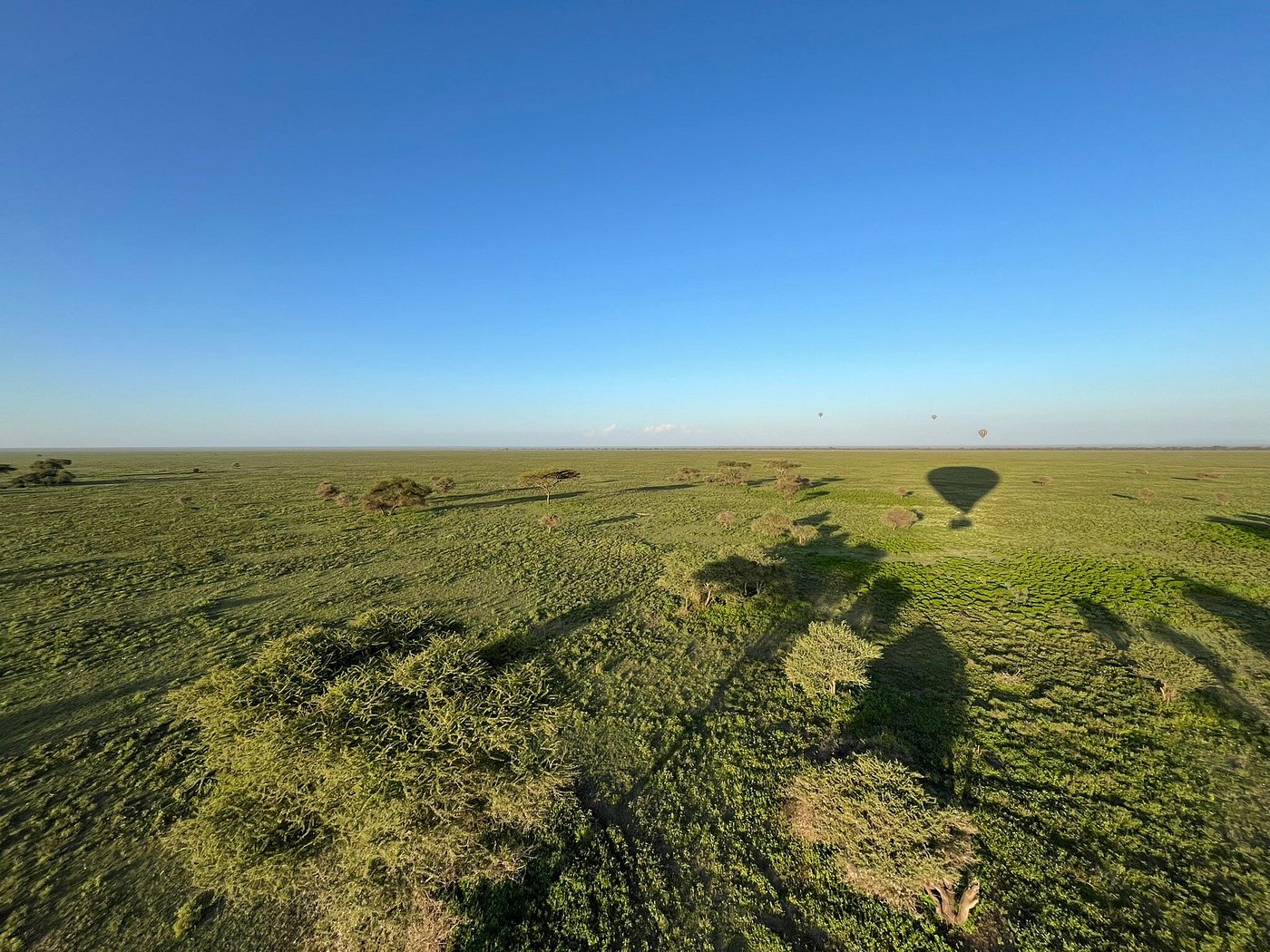 Hot air balloon flying above the Serengeti plains during a Great Migration safari experience in Tanzania