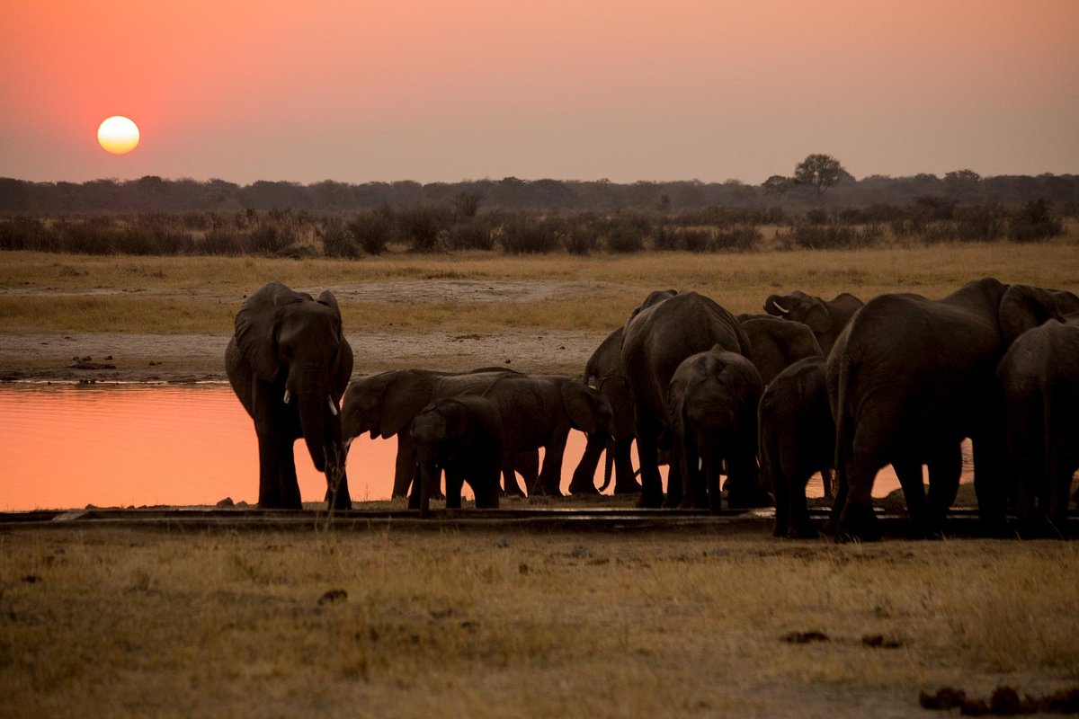 Hwange and Lake Kariba safari in Zimbabwe featuring wildlife encounters and scenic lake landscapes