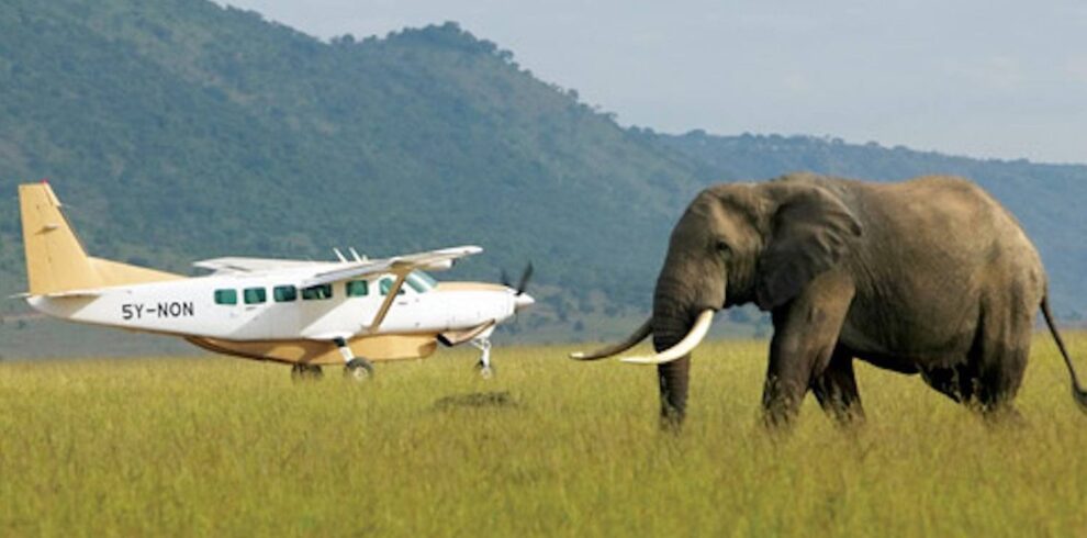 Kenya flying safari with small aircraft and elephant wildlife encounter across iconic African landscapes