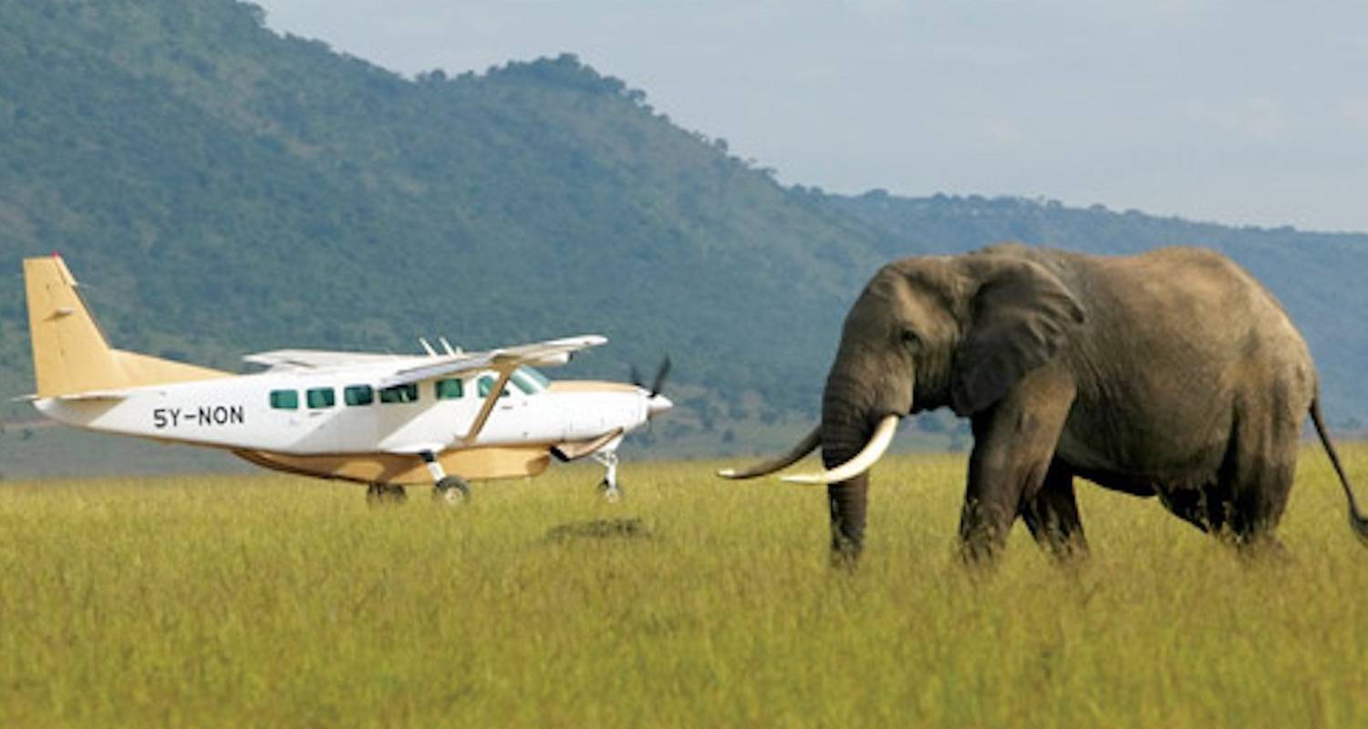 Kenya flying safari with small aircraft and elephant wildlife encounter across iconic African landscapes