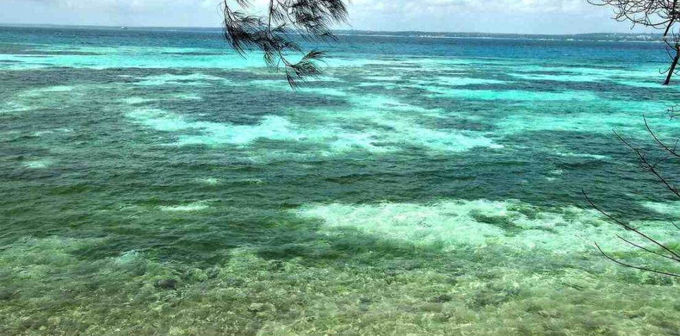 Kenya safari and Zanzibar beach escape featuring African wildlife, savannah landscapes, coastal relaxation, and tropical island experiences