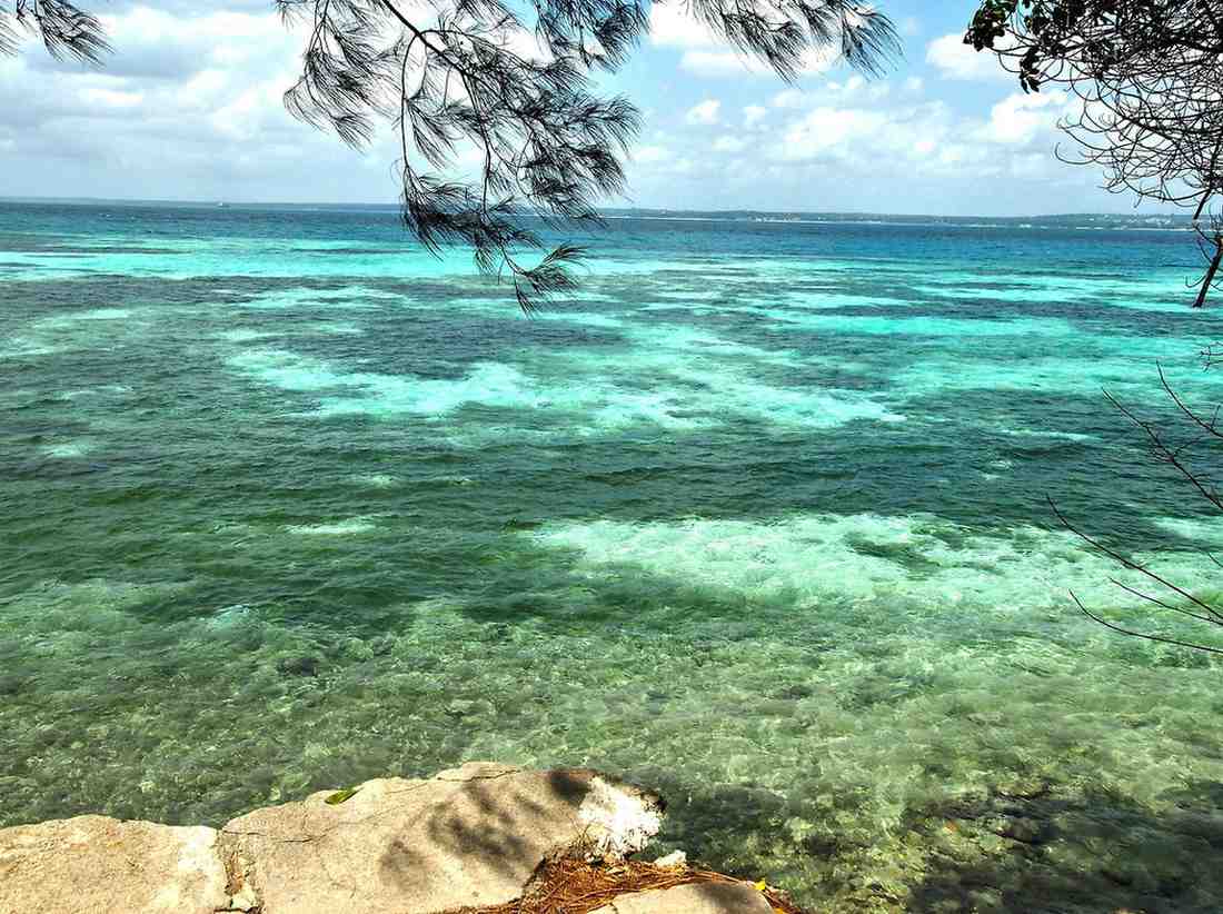 Kenya safari and Zanzibar beach escape featuring African wildlife, savannah landscapes, coastal relaxation, and tropical island experiences