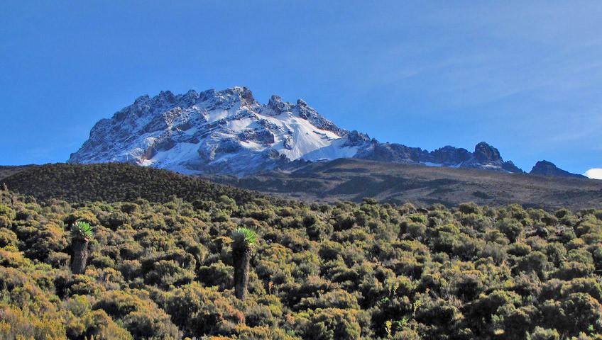 Natural alpine landscape along the Rongai Route on Mount Kilimanjaro.