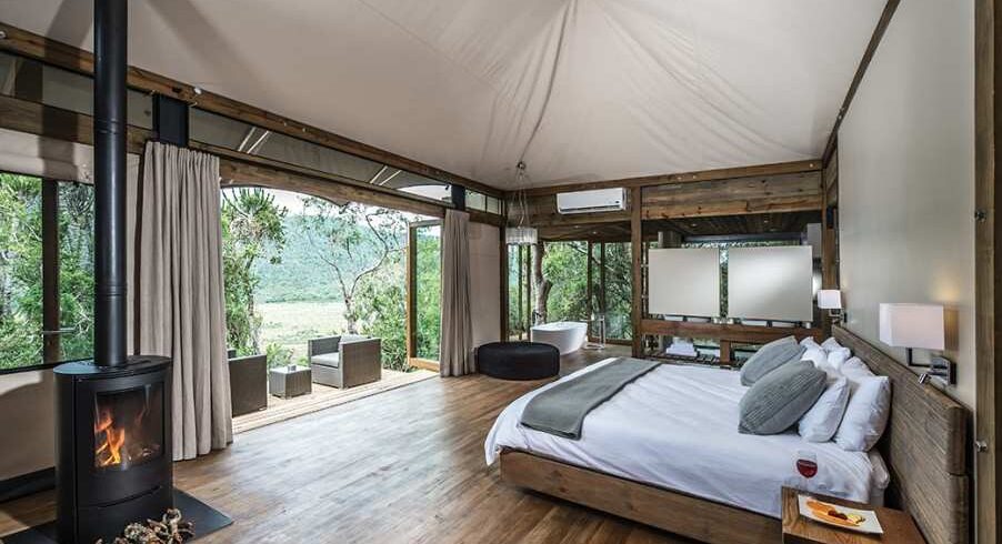 Kruger birding safari featuring colorful African birds, wildlife encounters, expert birdwatching guides, and diverse habitats in South Africa