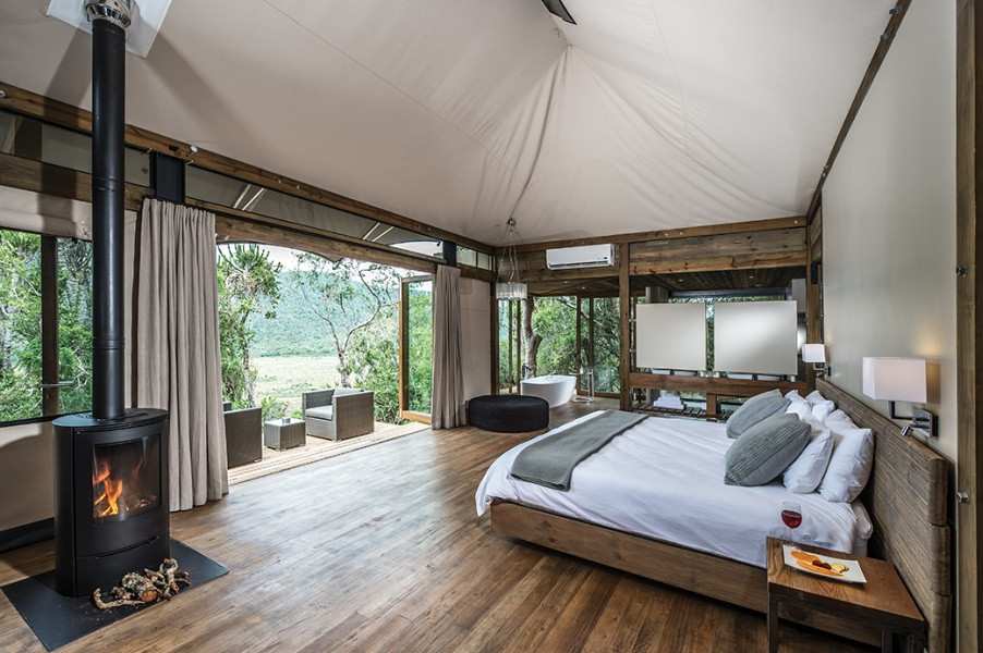 Kruger birding safari featuring colorful African birds, wildlife encounters, expert birdwatching guides, and diverse habitats in South Africa