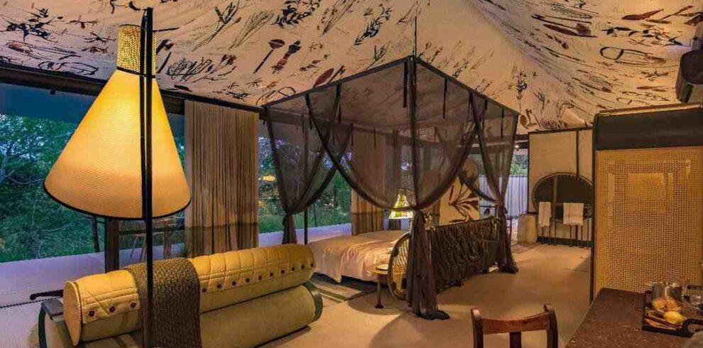 Kruger Explorer Safari featuring Big Five wildlife, open savannah landscapes, guided game drives, and authentic bush adventure in South Africa