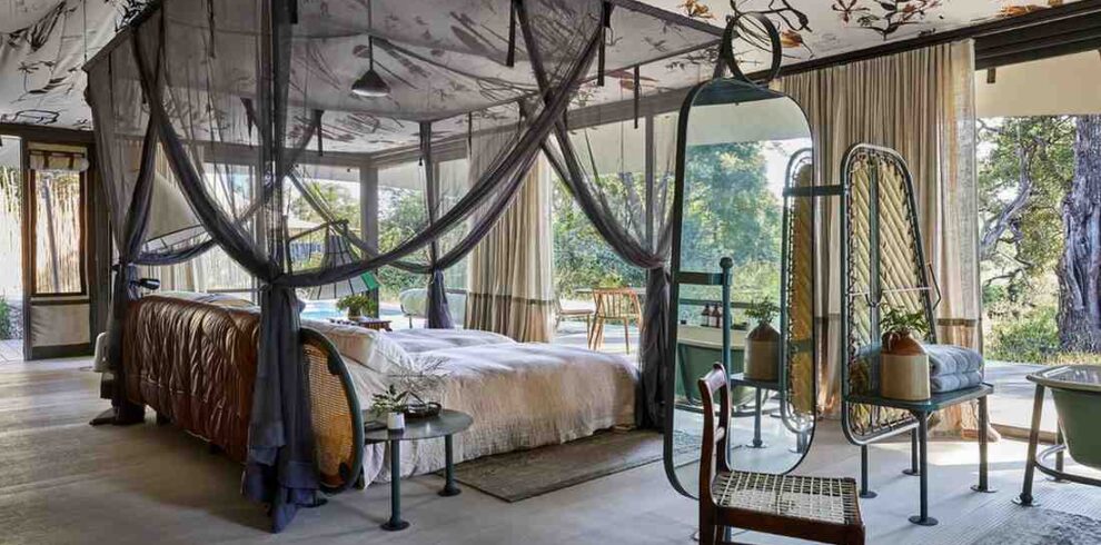 Kruger safari experience featuring Big Five wildlife, rare animal encounters, guided game drives, and authentic wilderness exploration in South Africa