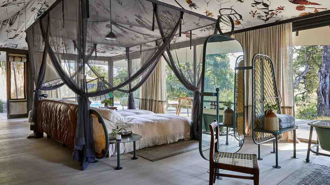 Kruger safari experience featuring Big Five wildlife, rare animal encounters, guided game drives, and authentic wilderness exploration in South Africa