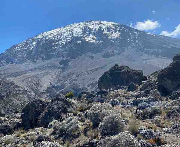 Mount Kilimanjaro Lemosho Route trekking expedition in Tanzania.