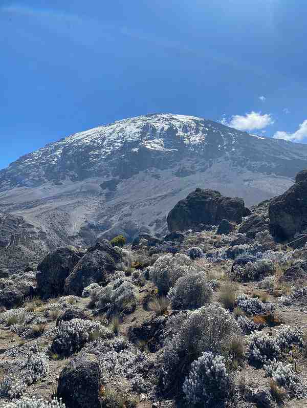 Mount Kilimanjaro Lemosho Route trekking expedition in Tanzania.