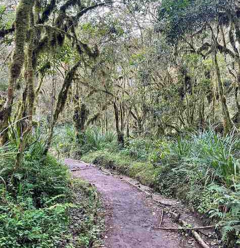 view of the Route on Mount Kilimanjaro