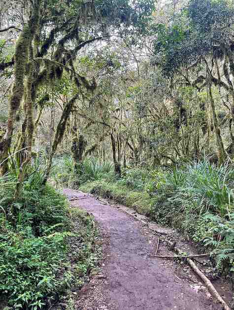 view of the Route on Mount Kilimanjaro