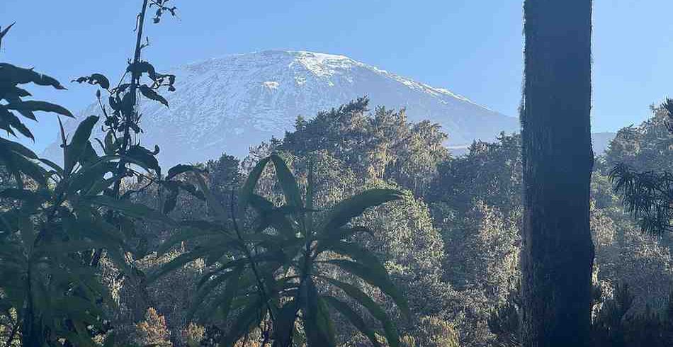 Machame Route on Mount Kilimanjaro in Tanzania with scenic mountain trails and climbers trekking to the summit with Ibhanilfa Safaris.