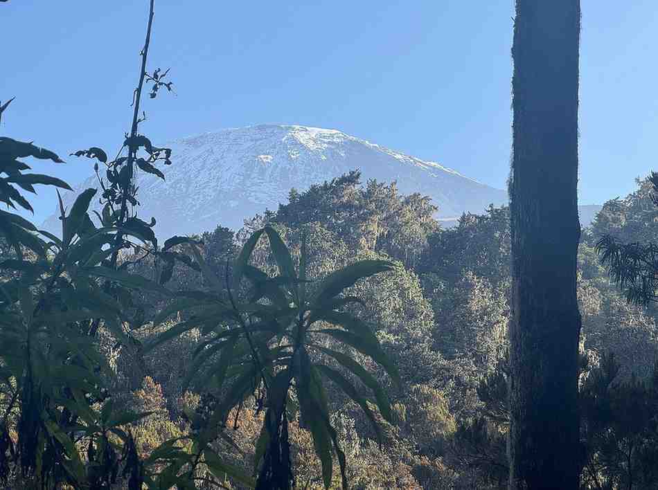 Machame Route on Mount Kilimanjaro in Tanzania with scenic mountain trails and climbers trekking to the summit with Ibhanilfa Safaris.