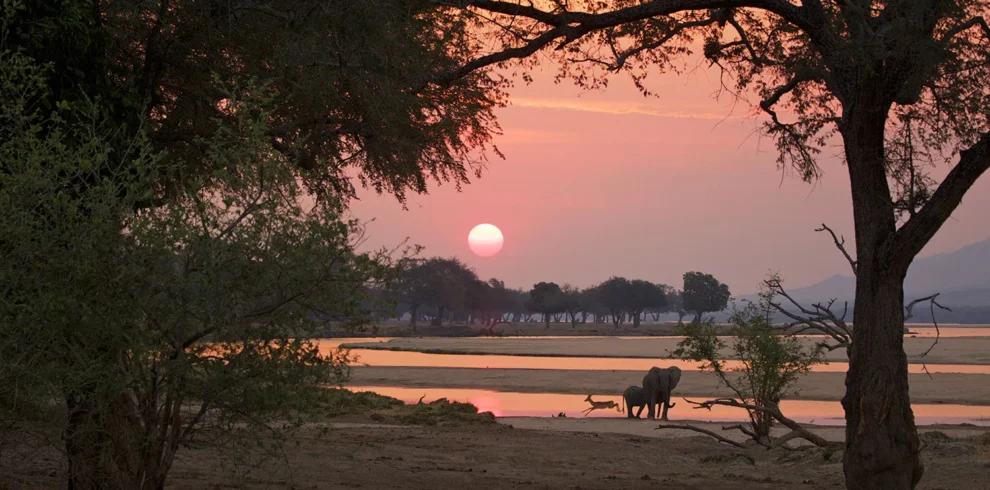Mana Pools fly-in safari in Zimbabwe featuring remote wilderness, walking safari, and wildlife experience along the Zambezi River