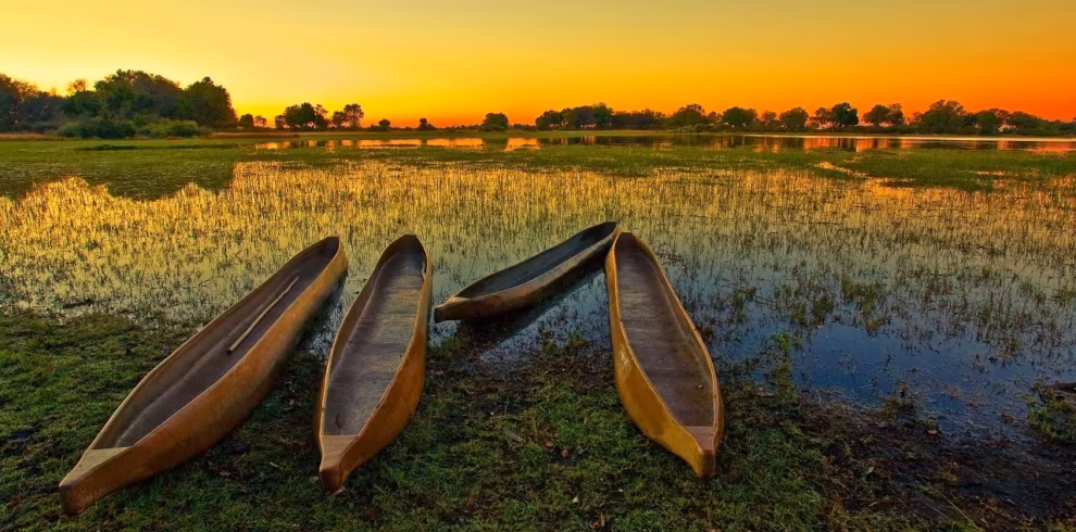 Okavango Delta expedition safari featuring remote Botswana wilderness, river channels, and wildlife encounters in the African wetlands