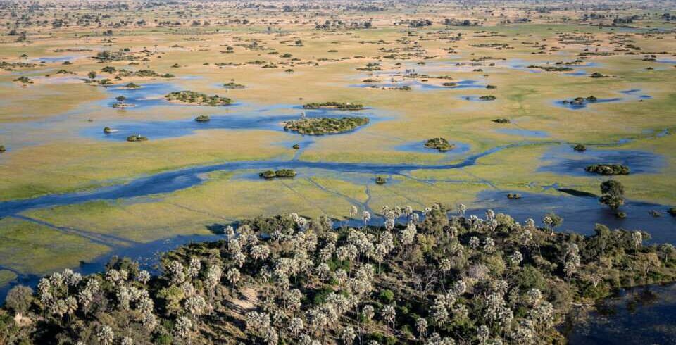 Okavango Delta safari at Kadizora Camp featuring Botswana wetlands, water channels, and authentic wildlife encounters