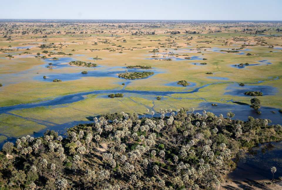 Okavango Delta safari at Kadizora Camp featuring Botswana wetlands, water channels, and authentic wildlife encounters