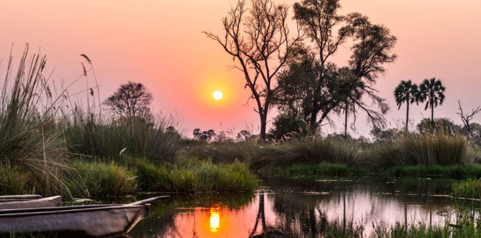 Okavango Delta safari in Botswana featuring peaceful waterways, traditional mokoro rides, wetlands, and untouched wilderness wildlife