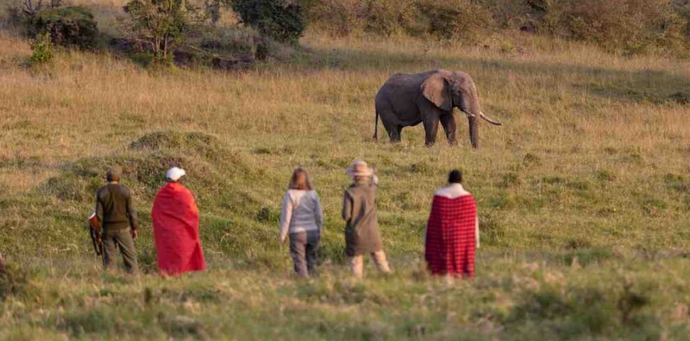 Safari traveler observing an elephant during a guided walking safari in the Rift Valley and Masai Mara region of Kenya